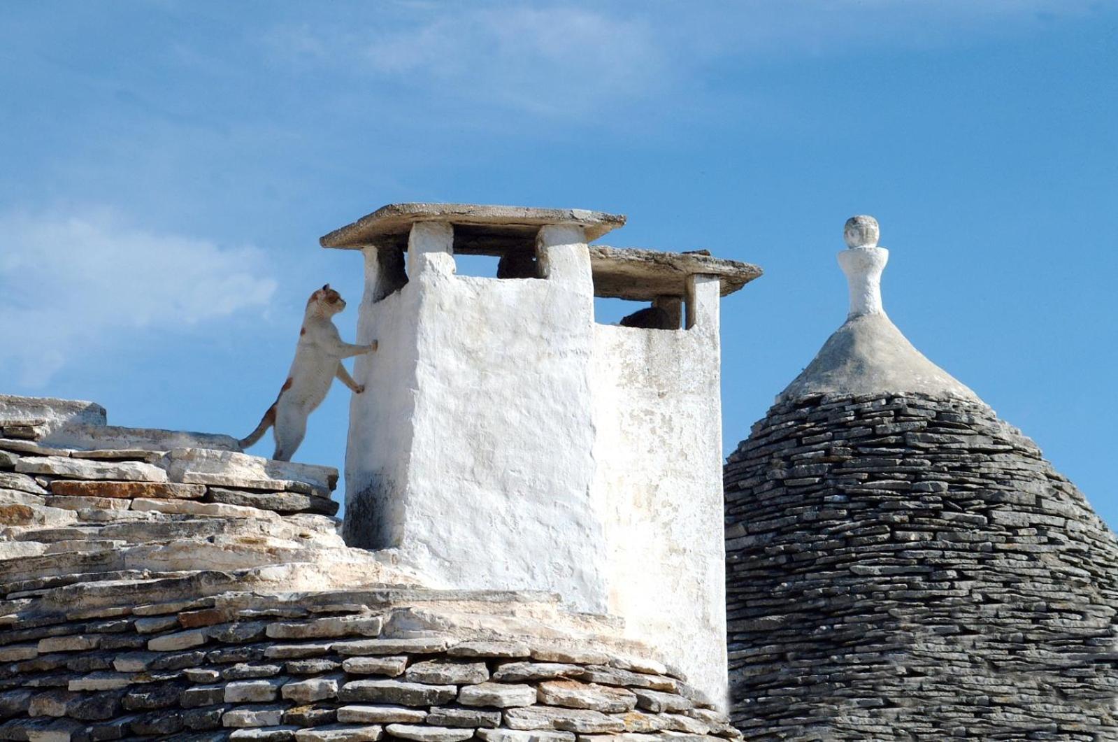 B&B Corso Trieste E Trento Alberobello Ngoại thất bức ảnh